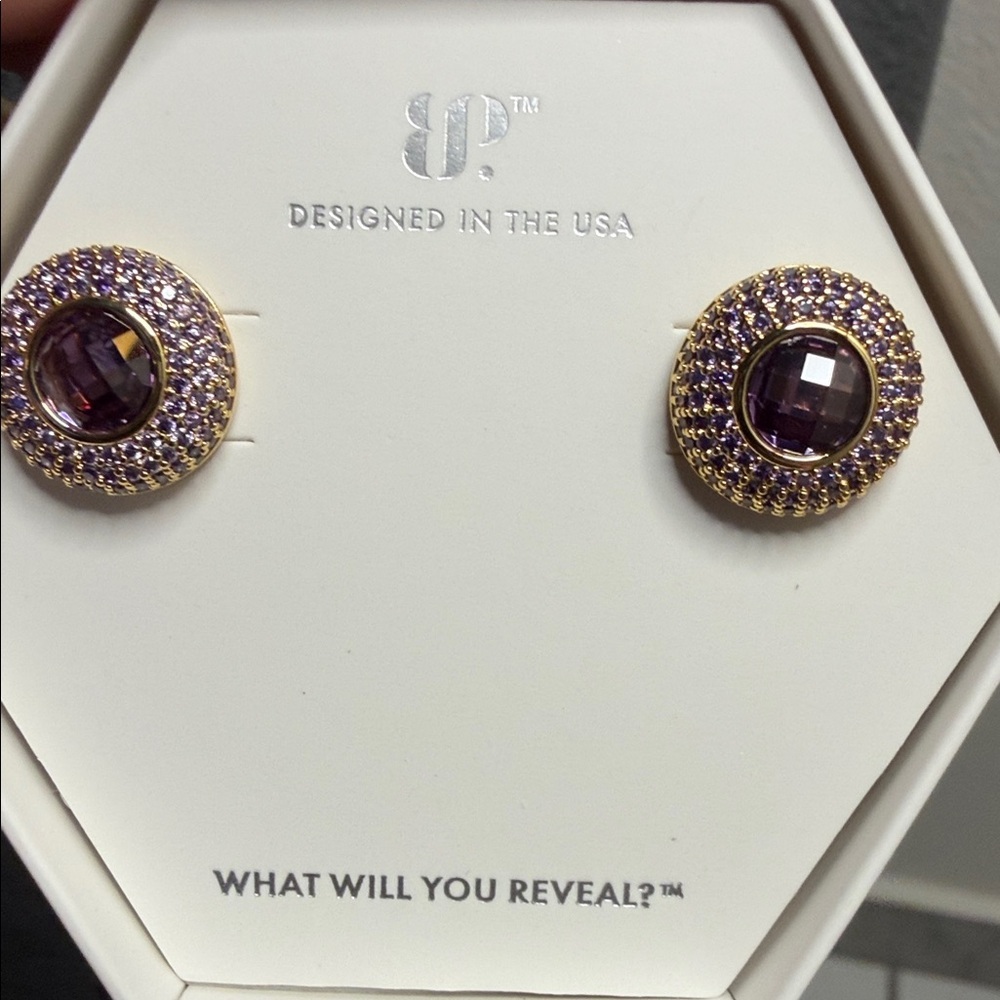 BP Feb 2026 earrings - Enchanted Sights